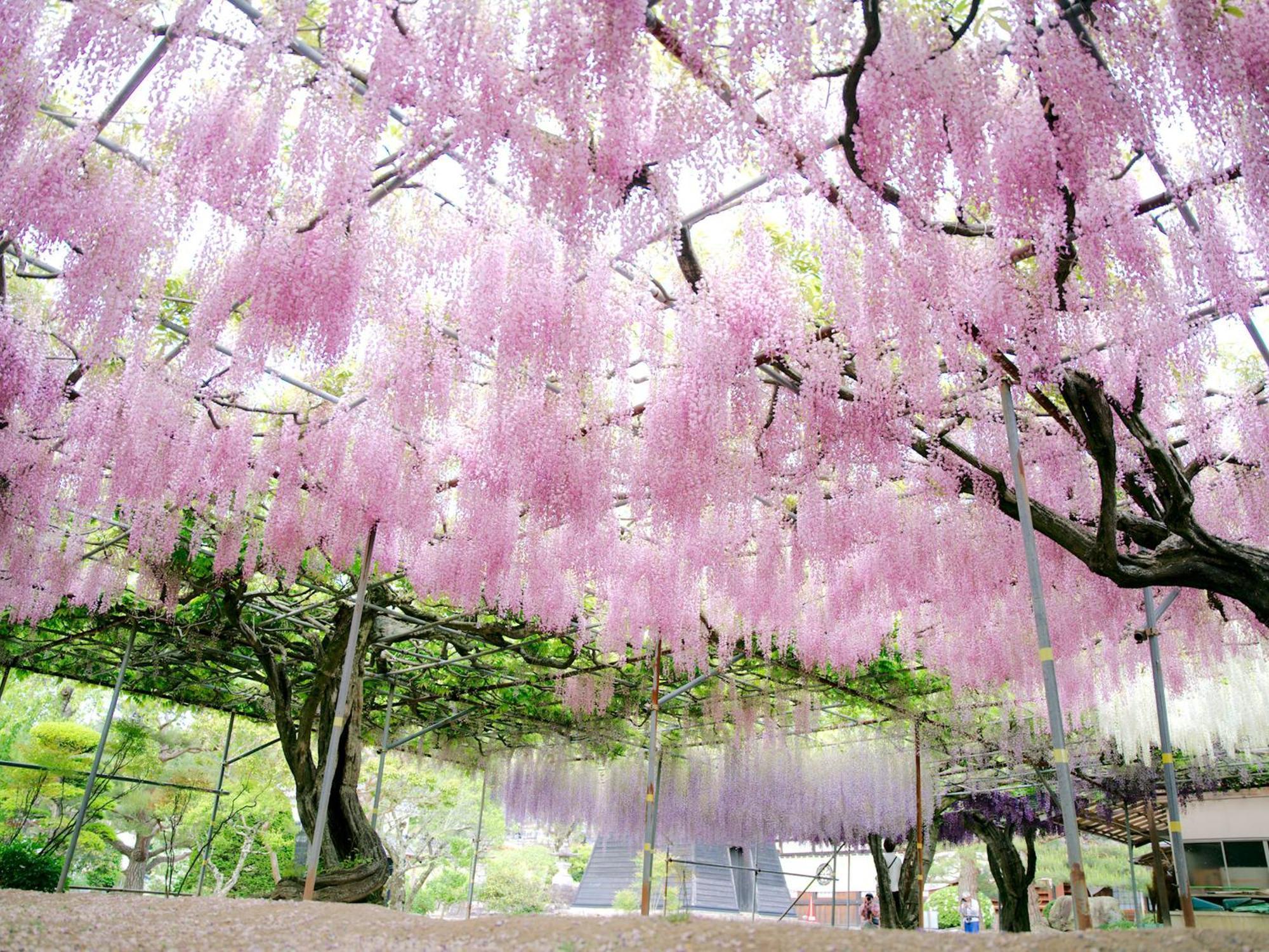요시노테이 이이다 외부 사진